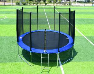 Outdoor Trampoline with <b>Ladder</b> 8FT 10FT 12FT Manufacturer for Adults with Protective Net Polypropylene Material - Product Image 1