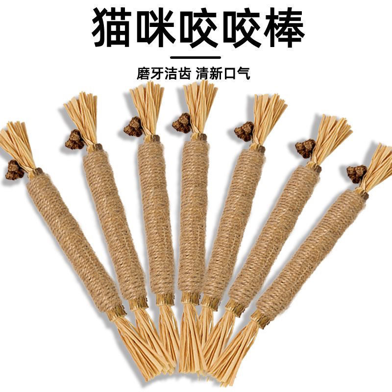 Two 22cm diameter pieces of *Polygonum hydropiper* (1-1.2cm in diameter), unpackaged.