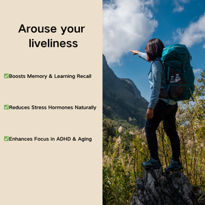 Soy Premium Capsules 70% kapsul | Dukungan otak & pereda stres - Product Image 2