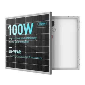 SunEvo kleines Solarpanel für Außenlicht 100 W Solarpanel mit stabiler Qualität für Landhaus