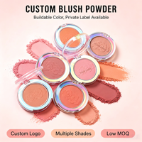 Palette de fard à joues en poudre haute pigmentation personnalisable avec logo, vente en gros, blush vegan longue tenue et waterproof pour lèvres et joues