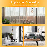 Ampoule LED décorative en verre AC110V-240V E26 E27 4W 7W 8W pour la décoration intérieure, livraison rapide, faible MOQ, populaire