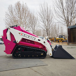 <span class=keywords><strong>2026</strong></span> Desain Baru Harga Pabrik Cina Mesin Diesel V1000 25hp Front <span class=keywords><strong>Loader</strong></span> <span class=keywords><strong>Skid</strong></span> <span class=keywords><strong>Steer</strong></span> <span class=keywords><strong>Loader</strong></span> Efisiensi Tinggi untuk Pertanian dan Kebun - Product Image 5