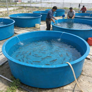 Tanque de Acuicultura de FRP, Tanque de Cría de Peces a Gran Escala, Estanque Circular de Alta Resistencia - Product Image 2