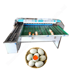 Egg Grading Equipment by <b>Weight</b> Egg Sorting Packing <b>Machine</b> Automatic Egg Grading <b>Machine</b> - Product Image 2