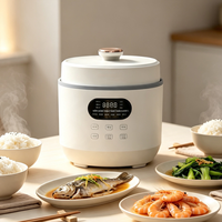 Cuisinière électrique à pression de grande capacité 6L, cuve intérieure en acier inoxydable 304, double tension 110V 220V, multicuiseur 12-en-1, OEM