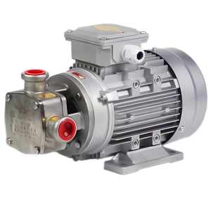 Pompe électronique en aluminium 12V basse pression pour carburant diesel/bioéthanol et essence, pompes de relevage pour voitures, personnalisable OEM - Product Image 2