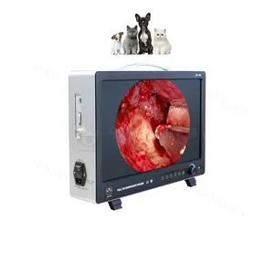 Sistema de endoscopia de vídeo de alta definición, monitor de sistema de endoscopia trinocular superior, con cámara, para veterinario