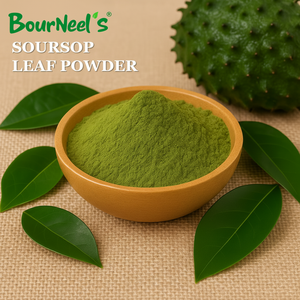 Poudre de feuilles de corossol 100gm sans conservateurs Graviola SOURSOP FEUILLES SÈCHES - Product Image 1