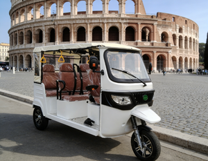 <span class=keywords><strong>Taxi</strong></span> public au meilleur <span class=keywords><strong>prix</strong></span> pour le tourisme, tricycle certifié UE, TUKTUK E Trike - Product Image 1