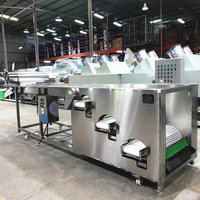 Blueberry Sorteren Cherry Tomaat Cherry Kalibrator Sorter Machine