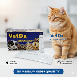 VetDx Test Diagnostici Veterinari a Prezzo Conveniente, Test Antigenico CPV Parvo+Distemper - Product Image 4