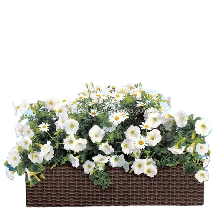 Rattan superficie scatola di finestra serie di smart design auto-sistema di irrigazione vaso da fiori di plastica vasi da fiori fioriere rettangolare