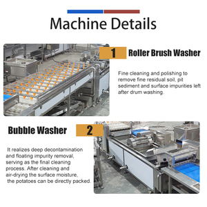 Machine industrielle de nettoyage de pommes de terre entières 1-3T/H, machine d'alimentation et de lavage pour pommes de terre boueuses et sablonneuses - Product Image 3