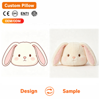 Peluche Lapin Kawaii, Coussin en Peluche Rempli de Coton PP, Design Original, Logo Personnalisé, Marque OEM, Fourniture en Gros