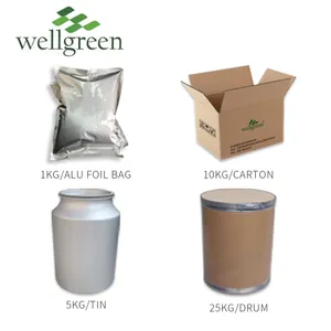 Wellgreen Freeze Dried Bulk Water Bulk Supplier Extract Pure Coconut Powder