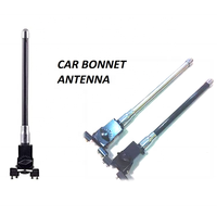 Antenne décorative pour capot et hayon de voiture, compatible avec Renault Captur, antenne de véhicule de type fouet