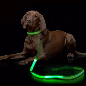 LED Light up Dog <b>Leash</b> Luminous Rope Lead <b>Leash</b> Dog Safety Flashing Glowing LED Dog <b>Leash</b> <b>Collar</b> Electronic <b>Pet</b> Accessories - Product Image 1
