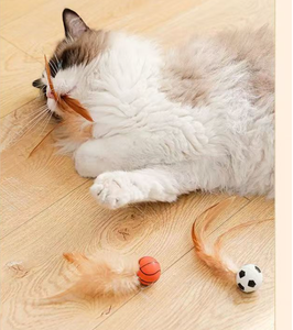 OEM ODM interaktif çevre dostu Pet oyuncak üreticinin sihirli haddeleme köpek topu yavaş besleyici çiğnemek kediler için tedavi dağıtıcı - Product Image 4