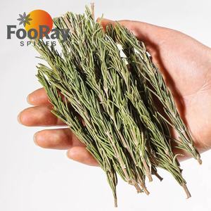 Aiguilles <span class=keywords><strong>de</strong></span> romarin séchées entières sélectionnées à la main, qualité supérieure, épice culinaire pour la vente au détail haut <span class=keywords><strong>de</strong></span> gamme - Product Image 3