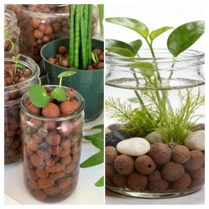 Bolas de Arcilla Hidropónica Shengping de 8-10 mm, Piedras de Arcilla Leca para Jardinerí<span class=keywords><strong>a</strong></span> y Plantación, Previenen la Podridad de Raíces y Retienen el <span class=keywords><strong>Agua</strong></span> - Product Image 6