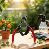 Professionele avocado-schaar, fruitpluk schaar van roestvrij staal, snoeischaar voor boomgaard, citrus, sinaasappel, tuin oogsten
