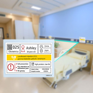 10.2 Inch E Ink Screen For Hospital Medical <b>Signs</b> Card Equipment E-Paper Modules Mipi Interface Guangdong Origin E-Ink Display - Product Image 1