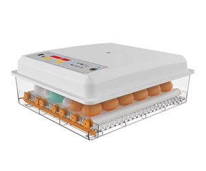 BBT automatique incubateur température humidité contrôle 98% taux d'éclosion automatique oeuf tournant haute productivité pour canard REPTILE - Product Image 6