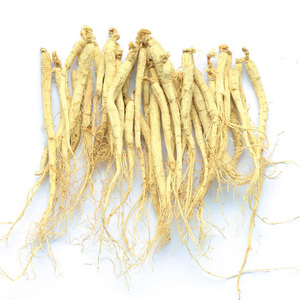 Whole Small Changbai Mountain White Dried Panax Ginseng <strong>Root</strong> for Soaking - Product Image 1