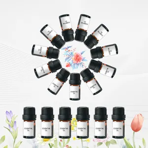 Óleos essenciais NEEIND Aroma Diffusor Premium Óleos essenciais Etiquetas personalizadas Única amostra de óleo essencial 10ml