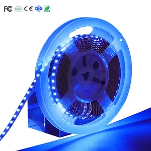 Bande lumineuse LED à couleur changeante, 5M, 5050 RGBCW, connecteur de Type C avec microphone, synchronisation du rythme de la musique, prix d'usine