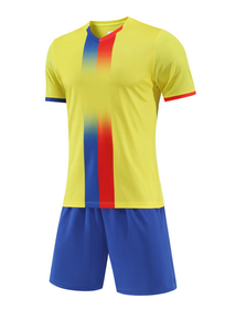 Camisetas de Fútbol Cómodas y de Secado Rápido de la <span class=keywords><strong>Liga</strong></span> Brasileña de Fútbol 2526, Ropa Deportiva y Camisetas al por Mayor - Product Image 2