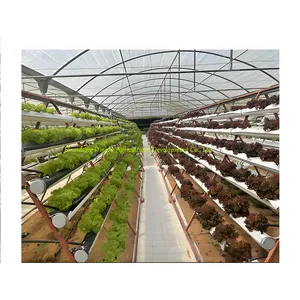 Torre de cultivo vertical agrícola comercial de nuevo diseño, sistema hidropónico de canalones Nft hidropónico para plantar verduras y frutas