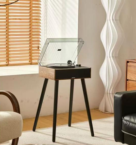 Fonógrafo USB Radio Cubierta transparente Vertical Moderno Tocadiscos - Product Image 4