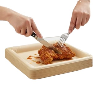 Piatti Monouso 5 Pezzi, 75 Porzioni, Grandi 9.5 Pollici, Multiuso, Riutilizzabili, Biodegradabili, 90% Meno Rifiuti, Per Casa e Viaggio, PEELWARE - Product Image 1