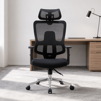 Chaise de conférence en maille plastique Guangdong, chaise de bureau simple, chaise pour personnel, chaise d'ordinateur, confortable, réglable en hauteur, en forme d'arche