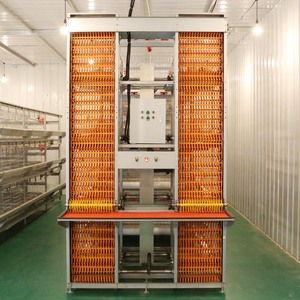 Nuevas jaulas de huevos de acero en forma de H para granjas avícolas, jaulas de batería para animales, jaulas para pollos - Product Image 2