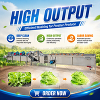 Commerciële fruitwas- en drooglijn, automatische salade reinigings- en verwerkingslijn, industriële bubbelwasmachine met luchtdroger