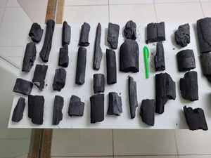 TPN Premium Vietnam Eucalyptus Hardwood Charcoal for <b>BBQ</b> & Restaurant | Long Burning | <b>Smokeless</b>| Wholesale Manufacturer - Product Image 4