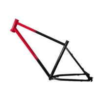 TRB Kit de vélo électrique couleur personnalisée Cadre de vélo électrique de course élégant en acier Cr-Mo conçu pour augmenter la vitesse en compétition