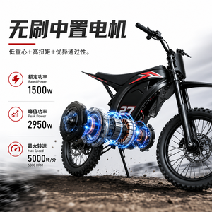 <span class=keywords><strong>Moto</strong></span> électrique tout-terrain pour adultes, motocross, 3200W, <span class=keywords><strong>Moto</strong></span> Electrica <span class=keywords><strong>Cross</strong></span> 48V, alliage d'aluminium, Enduro Dirtbike, IPX4, capacité de montée de 55 degrés - Product Image 3