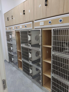 Attrezzature Personalizzate per Ospedali e Cliniche Veterinarie, Pianificazione e Progettazione Completa dell'Ospedale, Consegna Internazionale Porta a Porta EDM - Product Image 5