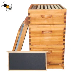 Apiculture 2/3 couches 10 cadres langstroth enduit miel ruche complète en bois ciré ruches kit de boîte à vendre