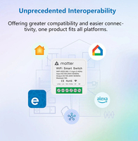 Module de relais miniature Matter WiFi 16A, interrupteur intelligent compatible avec EWeLink, Homekit, Smartthings, commande vocale, fonctionne avec Alexa
