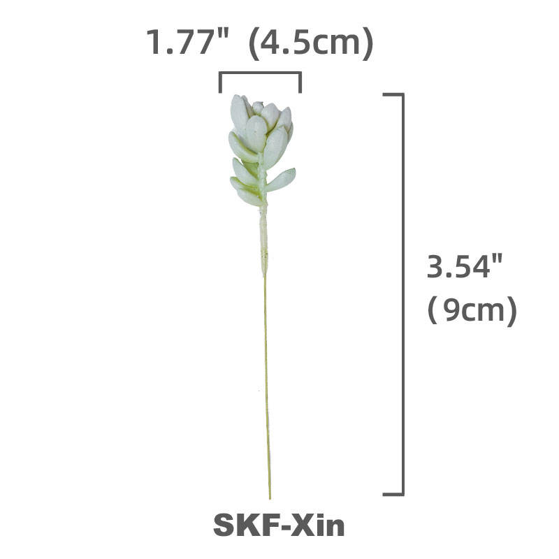 verde SKF-Xin