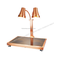 Lampes chauffantes alimentaires avec double ampoules 250w Chauffe-aliments Lumières Service alimentaire Chauffage Lampe chauffante pour Restaurant Cuisine Buffet Table