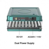 Vente chaude Double Incubateur Intelligent Électrique pour Oeufs De Poulet Nouvelle Condition 220V Tension