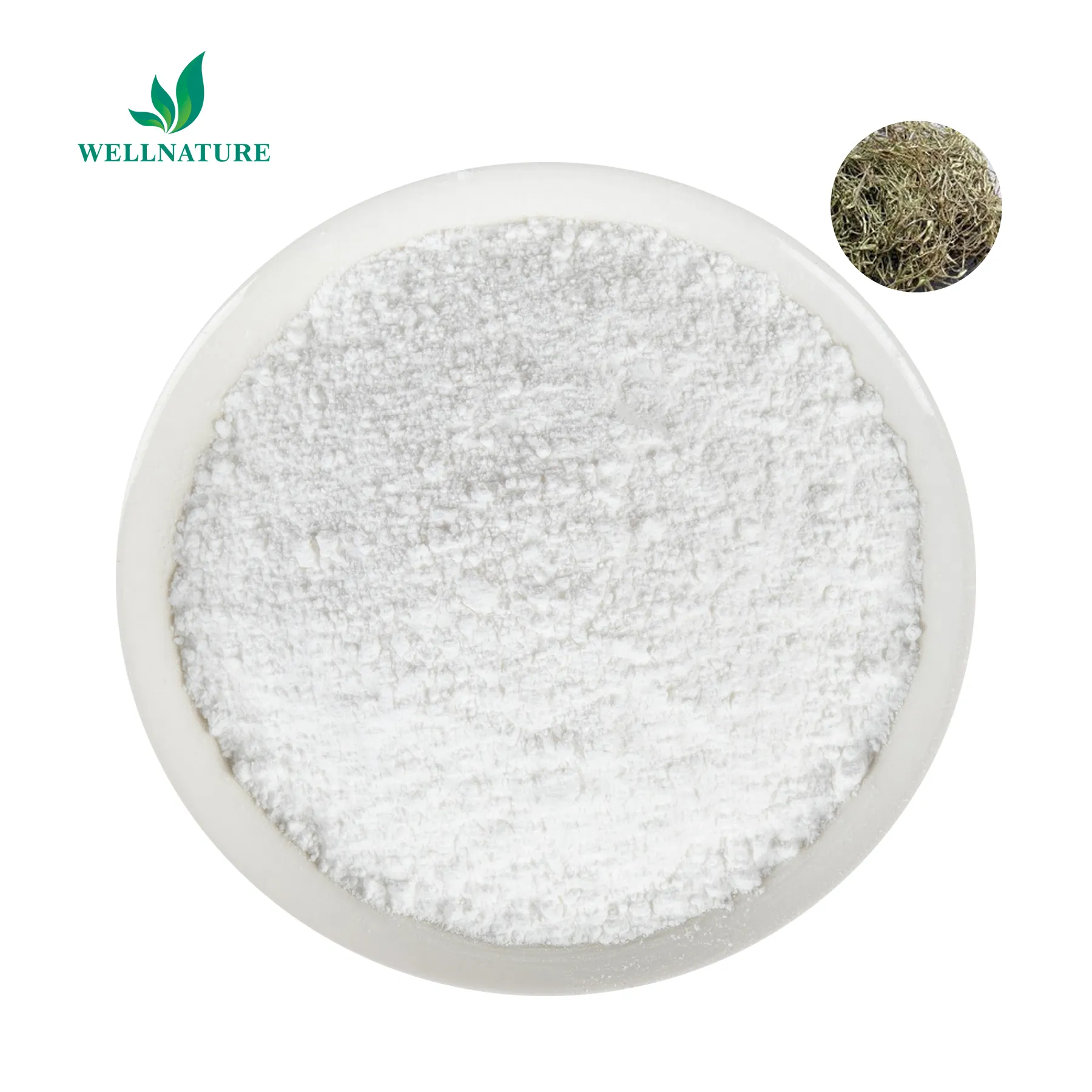 High Quality Free Sample 15% Salicin Extract White Willow Bark Extract Salicoside Salicin