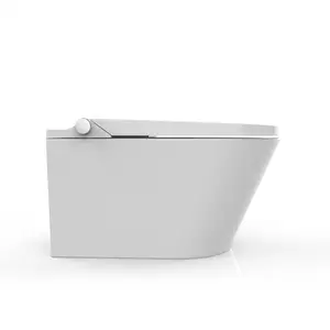 浴室洁具一体式坐浴盆马桶自清洁智能马桶陶瓷自动智能马桶