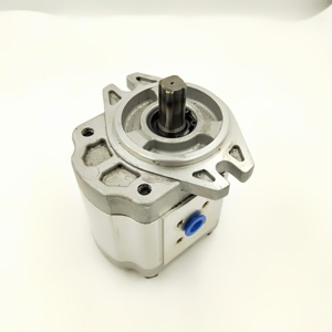 Bomba de Aceite para Grúa Grande CBK1008/1010/1016-A1FR, Bomba de Engranajes CBK1012/16-B4FR, Bomba de Engranajes Hidráulica CBK1016-A15FL - Product Image 5
